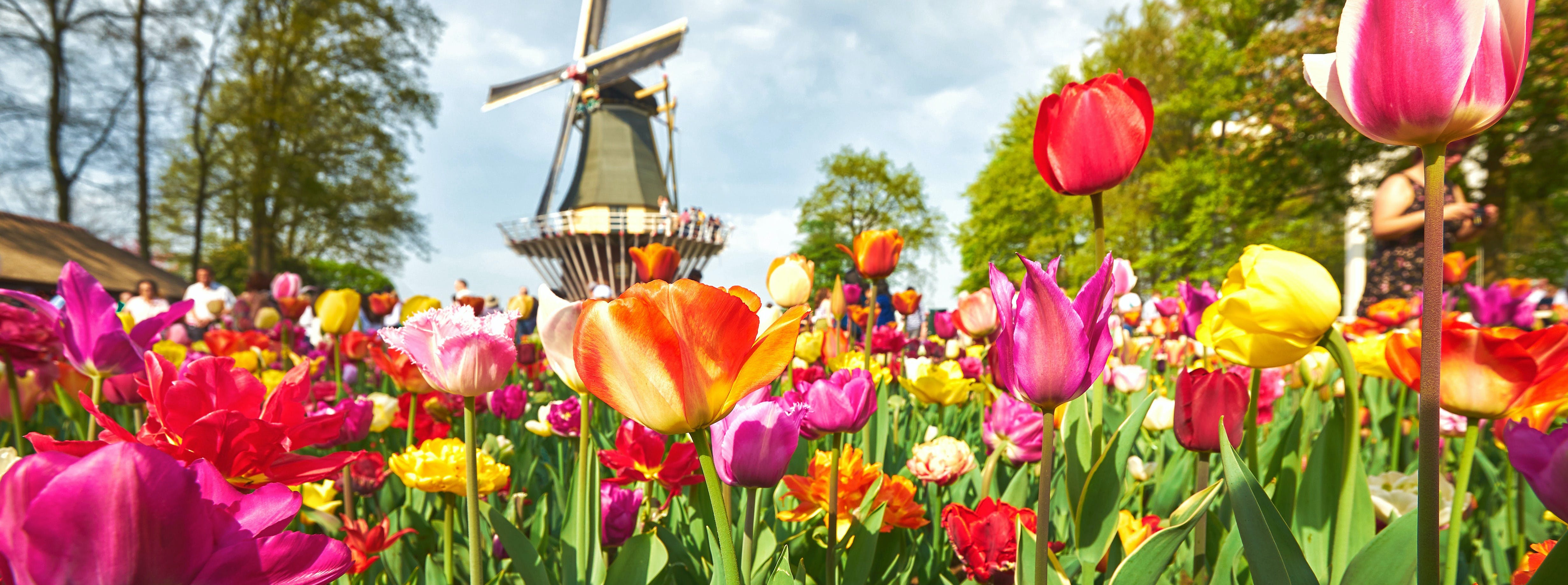 Circuit Festivalul Florilor